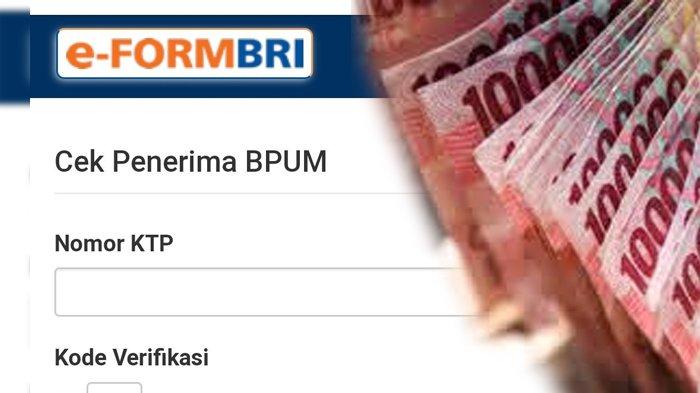 Bantuan Cair Cara Daftar Online UMKM Dan Cek Penerima BLT UMKM 2022 Di