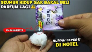 Diajmin Gak Perlu Beli Pengharum Ruangan Lagi Dengan Cara Ini