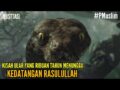Kisah Seekor Ular Yang Sudah Ribuan Tahun Menunggu Kedatangan Rasulullah