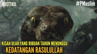 Kisah Seekor Ular Yang Sudah Ribuan Tahun Menunggu Kedatangan Rasulullah