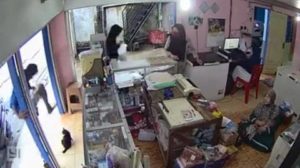 Video Viral Pria di Sampit, Kalteng, Injak Kepala Kucing Hamil hingga Tewas