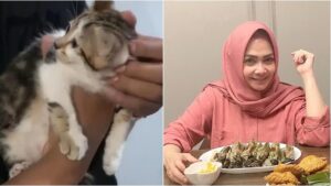 6 Potret Kucing Berbulu Motif Mirip Wajah Manusia Milik Rieta Amilia, Ditawar Rp 600 Juta