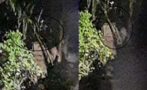 Cium Bau Anyir Diikuti Suara Ketawa Perempuan, Serem! Cowok Ini Rekam Penampakan Muka Hancur Tak Bermulut