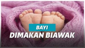 Kejam! Remaja Ini Buang Bayi Hingga Akhirnya Dimakan Biawak