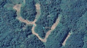 Sempat dianggap Hoax, Pria Ini Buktikan Keberadaannya Lafaz Allah di Tengah Hutan dengan Drone