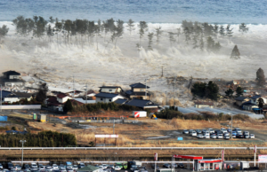 Nyaris 100% Akurat, Makhluk Ini Jadi Pertanda Datangnya Gempa dan Tsunami, Waspada Jika Menemui