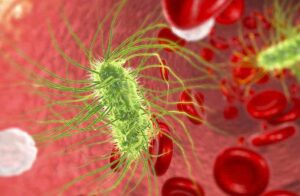 Belum Kelar Masalah Corona, China Harus Hadapi Wabah Brucellosis yang Serang 3 245 Warganya