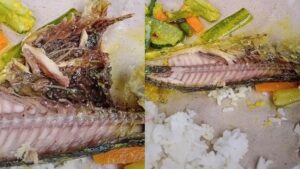 Ikan Goreng di Nasi Bungkus Penuh Belatung, Baru Sadar Setelah Habis Setengahnya