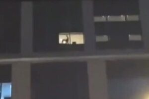 Astaghfirullah Tak Ada Malu, Sejoli Berhubungan Badan di Depan Jendela Hotel, Dilihat dan Disoraki Pengguna Jalan