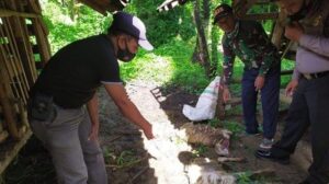 Ajag, Sosok Makhluk Penghisap Darah yang Menyebabkan Matinya Puluhan Kambing Warga di Kuningan