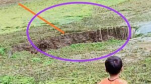 Muncul Lubang Besar Misterius di Sukabumi yang Menyedot Air dan Ikan hingga Hilang Tak Bersisa