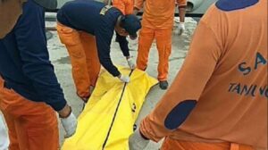 Pria di Sumsel Meninggal Tertimpa Pohon yang Dia Tebang
