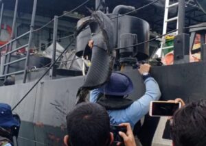 Breaking News, Lokasi Jatuh Pesawat Sriwijaya Air SJ-182 Ditemukan