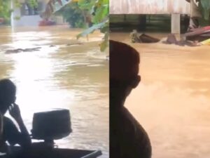 Hewan Ini Berenang Selamatkan Diri dari Banjir, Malah Diusir Warga, Bukti Egoisnya Manusia