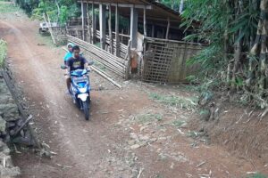 Kisah Kampung Pitu, Hanya Dihuni 7 Keluarga sejak Dulu hingga Berbagai Cerita Mistisnya