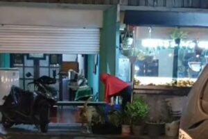 Video Viral Seorang Ibu Beri Makan Anjing yang Hampiri Warungnya, Ternyata Sudah Dilakukan Setahun