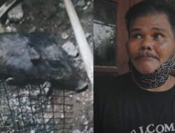 Cerita Martaih Soal Pria Berjubah Hitam Naik Motor yang Berubah Jadi Babi Ngepet: Saya Lihat Sendiri
