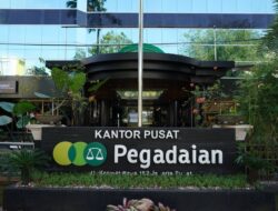 PT Pegadaian Buka Lowongan Kerja untuk Lulusan S1, Ini Posisi dan Syaratnya