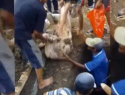 Heboh Jenazah Utuh dan Harum di Bojonegoro setelah Terkubur Bertahun-Tahun
