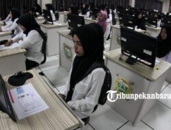 PATUT Dicoba! Inilah 5 Situs & Aplikasi untuk Latihan Tes CPNS 2021, Ada Simulasi TWK, TIU dan TKP