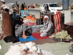 Anak Perempuan Afghanistan Mulai Dijual Keluarga untuk Bertahan Hidup