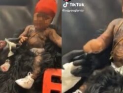 Viral Video Bayi Menangis Sekujur Tubuh Ditato, Warganet Murka: Pelanggaran HAM