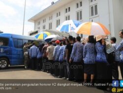 Mengawali 2022, Ribuan Honorer Teknis Administrasi Diberhentikan, Astaghfirullah