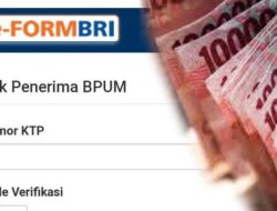 Bantuan Cair! Cara Daftar Online UMKM dan Cek Penerima BLT UMKM 2022 di eform BRI BPUM Pakai NIK KTP