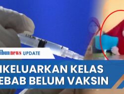 Viral Video Siswa SD di Konawe Dikeluarkan Gurunya dari Kelas saat Tryout Gegara Belum Vaksin