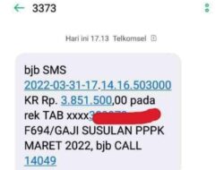 Heboh Gaji Pertama PPPK Rp3,8 Juta, Ternyata Ada yang Lebih dari Itu