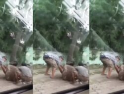 Viral Kakek Tak Berdaya Dirampas Uangnya di Tepi Jalan