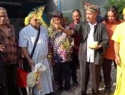 Edan, 5 Orang Ini Pilih Kawin dengan Binatang daripada Manusia, Ada yang Kawin dengan Kuda Poni hingga Anjing