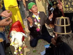 Mencengangkan! Ternyata Pernikahan Pria dengan Kambing di Gresik Dihadiri Anggota DPRD