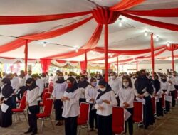 5 Perbedaan PPPK dan PNS dari Gaji hingga Cuti