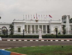 Menerka Tujuan Politik Presiden Jokowi di Balik Reshuffle 15 Juni