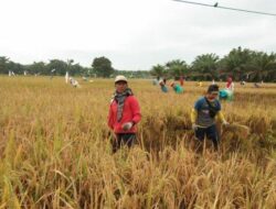 TERNYATA Dicetuskan Bung Karno, Inilah Kepanjangan Petani