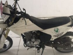 Murah Meriah Motor Trail Dilelang Cuma Rp 1 Jutaan, STNK dan BPKB Lengkap