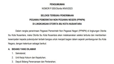 SELEKSI TERBUKA PENERIMAAN PEGAWAI PEMERINTAH NON PEGAWAI NEGERI (PPNPN) DI LINGKUNGAN OTORITA IBU KOTA NUSANTARA